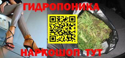 скорость Лесосибирск