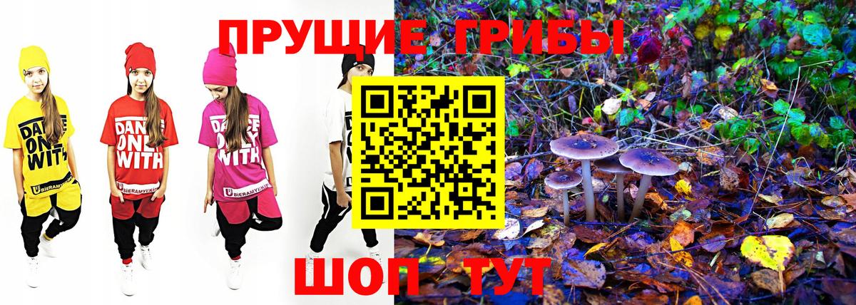 Десногорск  Псилоцибиновые грибы MAGIC MUSHROOMS  продажа наркотиков  Вход с VPN 