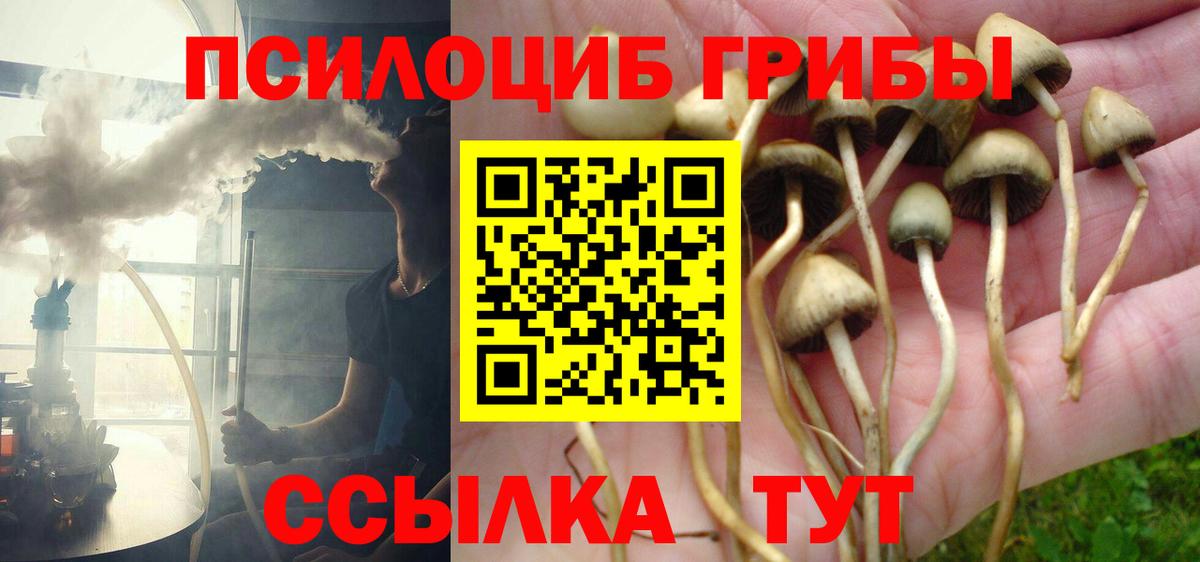 Псилоцибиновые грибы GOLDEN TEACHER Десногорск
